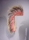 n&deg; 5 :   (Coiffure Roach)